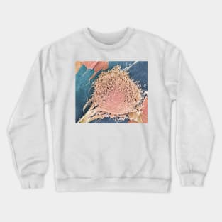 Bone marrow stem cell, SEM (C001/6592) Crewneck Sweatshirt